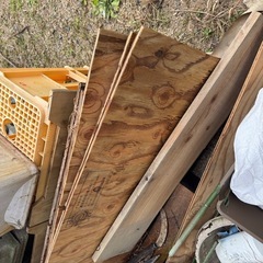 コンパネの画像