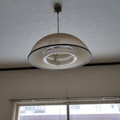 照明器具2個　蛍光灯　ライト　1月4日家具無料お渡し会の画像