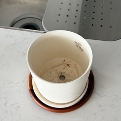 ACTUS エバフレッシュ 鉢カバー付き　おまけありの画像