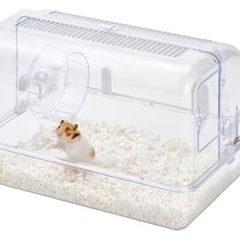 小動物ケース2の画像