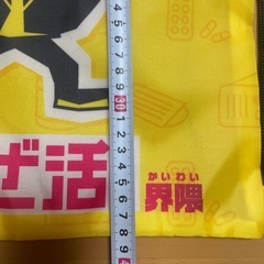 巾着リュックの画像