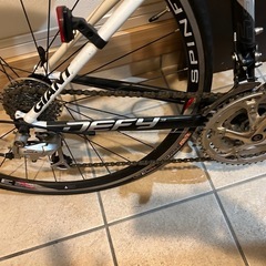 ジャイアントの画像