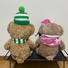 ディズニー　【大人気】ダッフィーとシェリーの画像