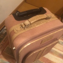 とてもボロボロなキャリーケースの画像