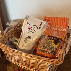 ハムスター　ケージ　用品
の画像