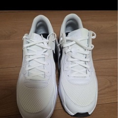 NIKE ２７.５の画像