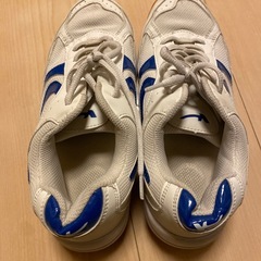 中学校のシューズ体育館　23.5cmの画像