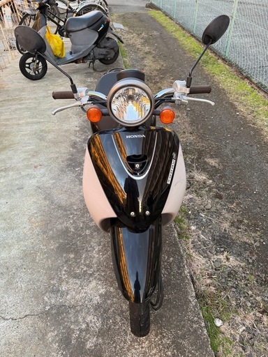 ホンダTODAY AF67 ばいくバイク (mikey) 岳南原田のホンダの中古