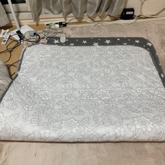 韓国電気カーペットの画像