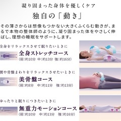 【新品】ニューピース　モーションマットレス　セミダブルの画像