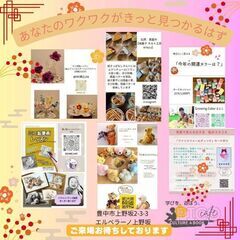 普段着のエイジレスヨガの画像