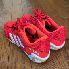 フットサルシューズ•体育館シューズ24.5cm/adidas copaの画像