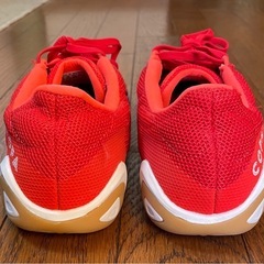 フットサルシューズ•体育館シューズ24.5cm/adidas copaの画像