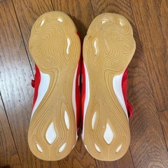 フットサルシューズ•体育館シューズ24.5cm/adidas copaの画像