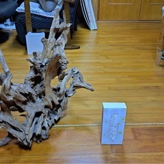 　枯れ木　木のオブジェ　の画像