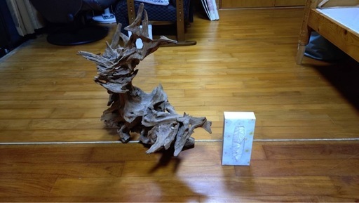 枯れ木木のオブジェ (maki) 首里の家具の中古あげます・譲ります