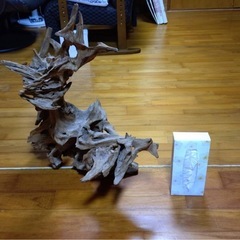 　枯れ木　木のオブジェ　の画像