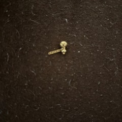 貯金箱と気持ちの画像