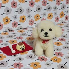 羊毛フェルト笑顔でエサ待ち可愛いプードルちゃんの画像