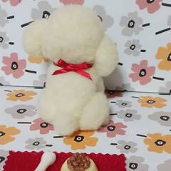 羊毛フェルト笑顔でエサ待ち可愛いプードルちゃんの画像