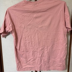 Dickies メンズTシャツ 4Lの画像