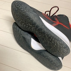 NIKEシューズ(体育)24cmの画像