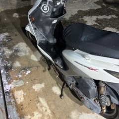 倉庫整理　シグナス3型　の画像