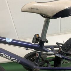 LOUIS GARNEAU ルイガノ　キッズバイク 20インチ ブルー　LGS-J20の画像