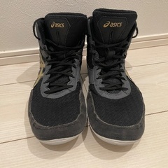 ボクシング　シューズの画像