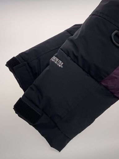 THE NORTH FACE ヒムダウンパーカ HIM DOWN PARKA 紫 Lサイズ GORE-TEX 防水 ほぼ新品
