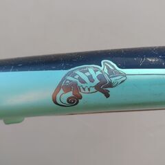 整備済 新品部品3点交換済 兵庫県西宮市発 Bianchi ビアンキ クロスバイク カメレオンテの画像