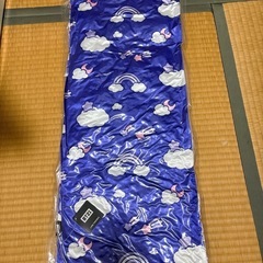 BT21 ロング クッションの画像