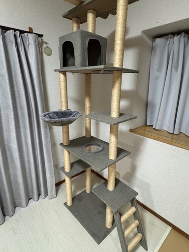 キャットタワー確認用