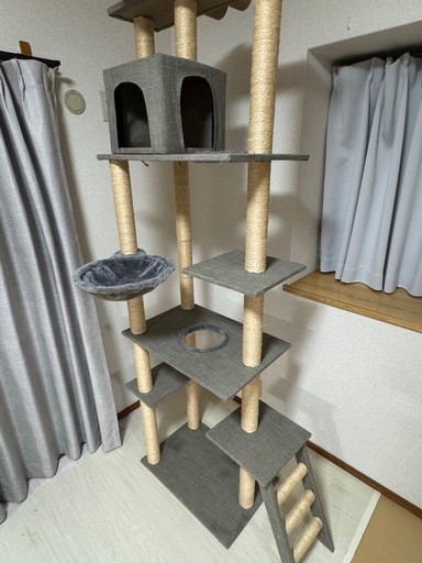 キャットタワー確認用
