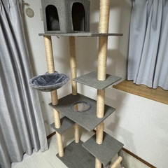 キャットタワー確認用の画像