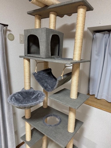 キャットタワー確認用