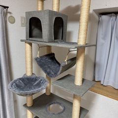 キャットタワー確認用の画像