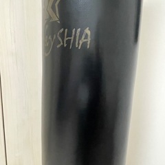 サンドバッグ　自立式の画像