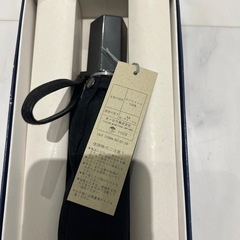 傘の老舗オーロラの折りたたみ傘の画像