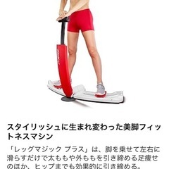 レッグマジッグプラス　定価21384円の画像
