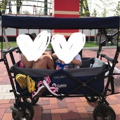 キャリーカート　キャリーワゴン　屋根付き　ベビーカー　キッズ　Sekey 　大型の画像