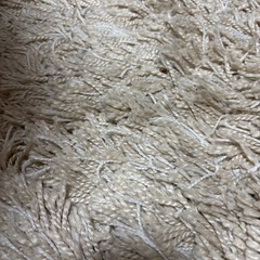 IKEA イケア ラグ GASER 133×195cm オフホワイト 502.837.80の画像