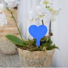 100個 ラベル プラスチックタグ 保育園の杭 ブルー ガーデンアクセサリーの画像