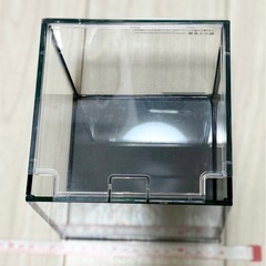 15cmの小さめ水槽 ※近くまで取りに来ていただける方の画像