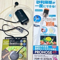 15cmの小さめ水槽 ※近くまで取りに来ていただける方の画像