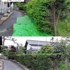 【いわき市】庭木のお手入れ、剪定、刈り込み、伐採・抜根、年間管理、庭じまい　など − 福島県