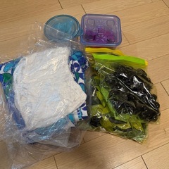 【差し上げます】子供用フラダンス一式の画像