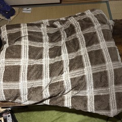[譲渡決定]こたつの画像