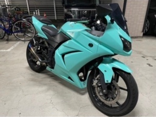 ZZR250 実働　ジャンク　こーかんok ZZR250 実働 ジャンク こーかんokの通販｜godisfabrica.com
