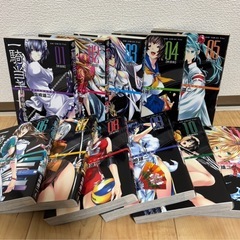 一騎当千 / 新装版 全巻セットの画像